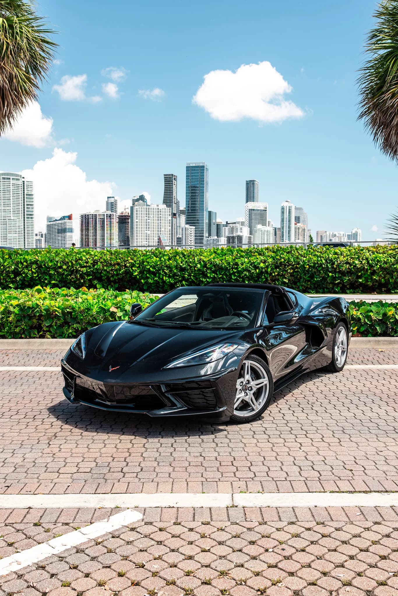 Corvette C8 (Black) - photo