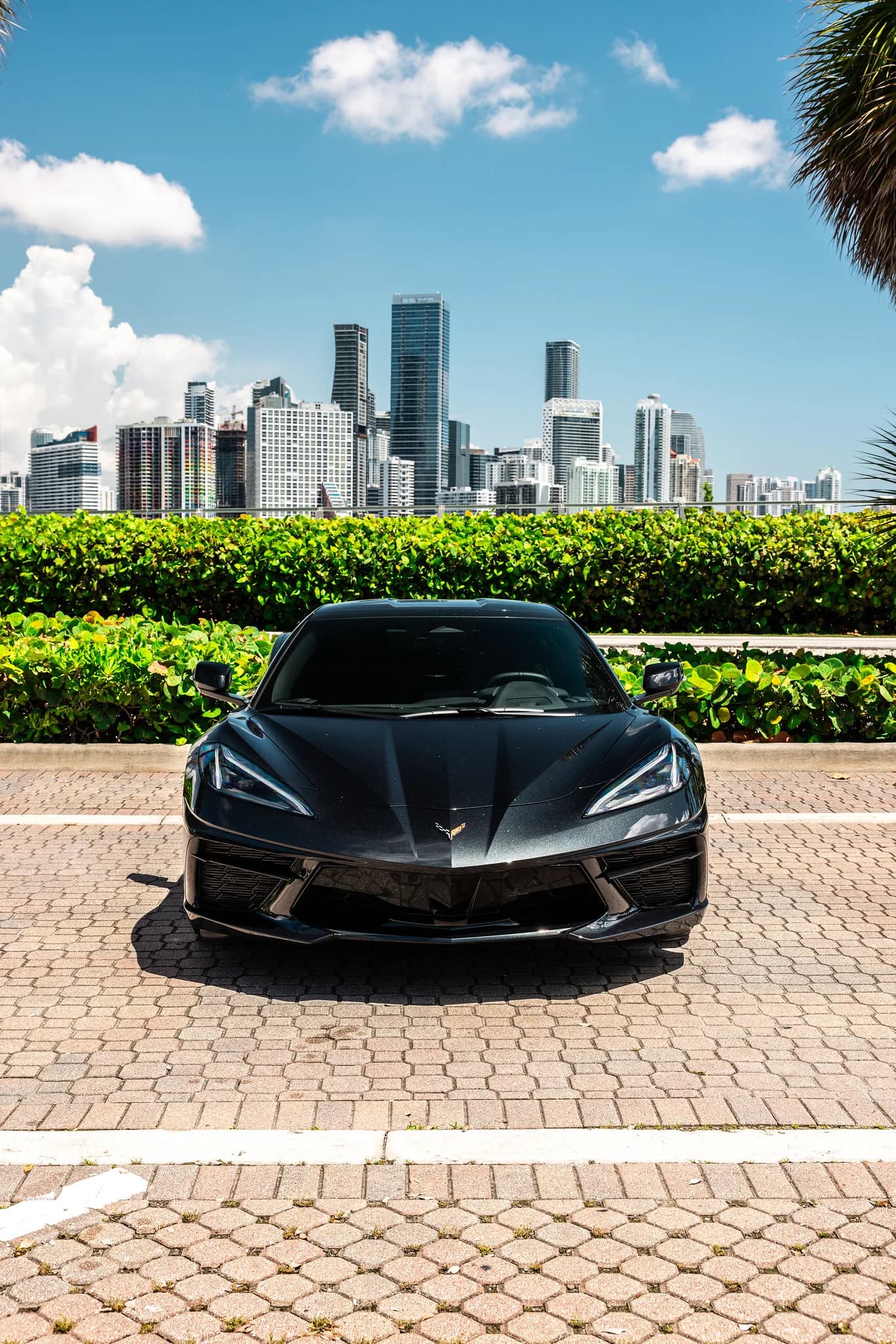 Corvette C8 (Black) - photo