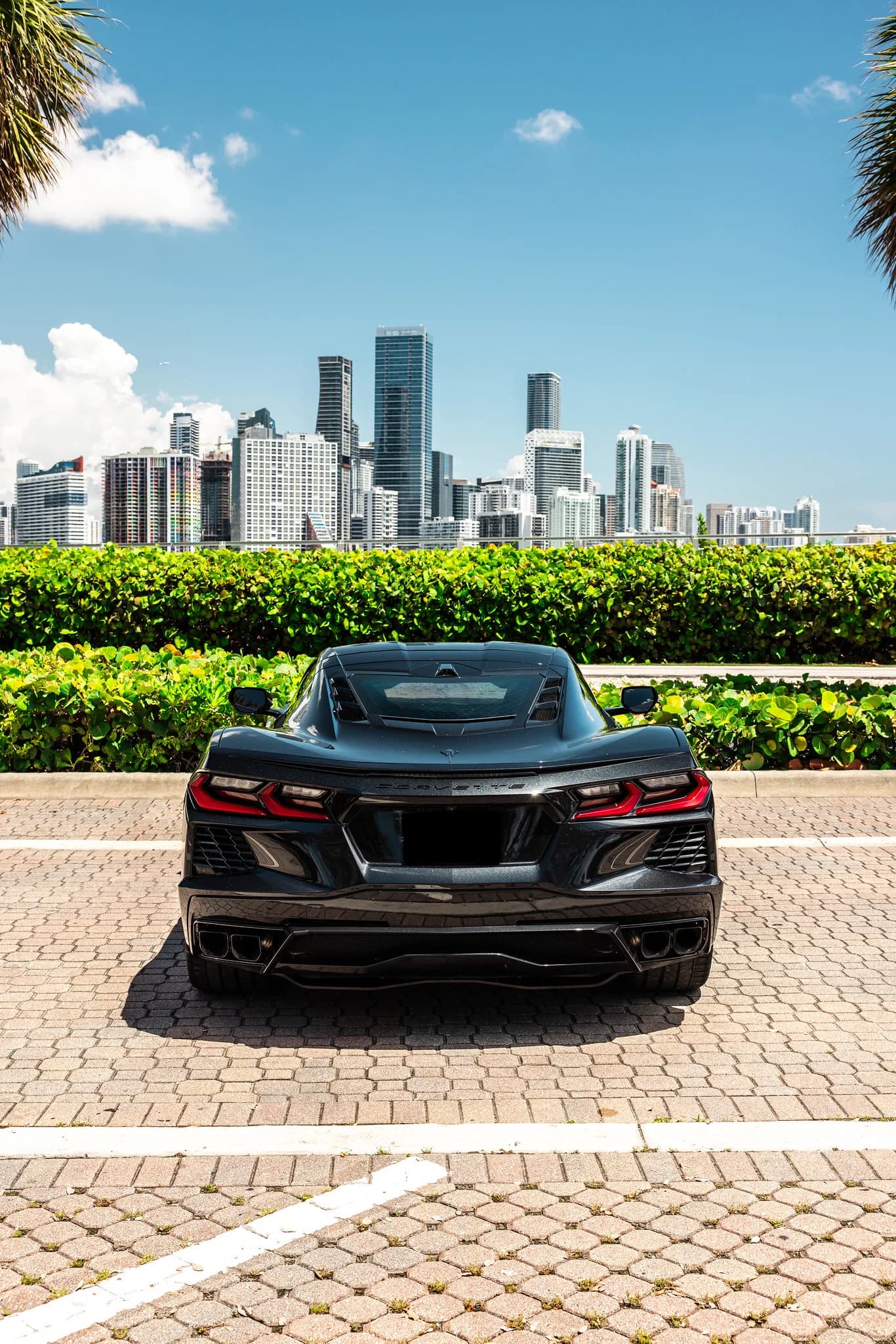 Corvette C8 (Black) - photo