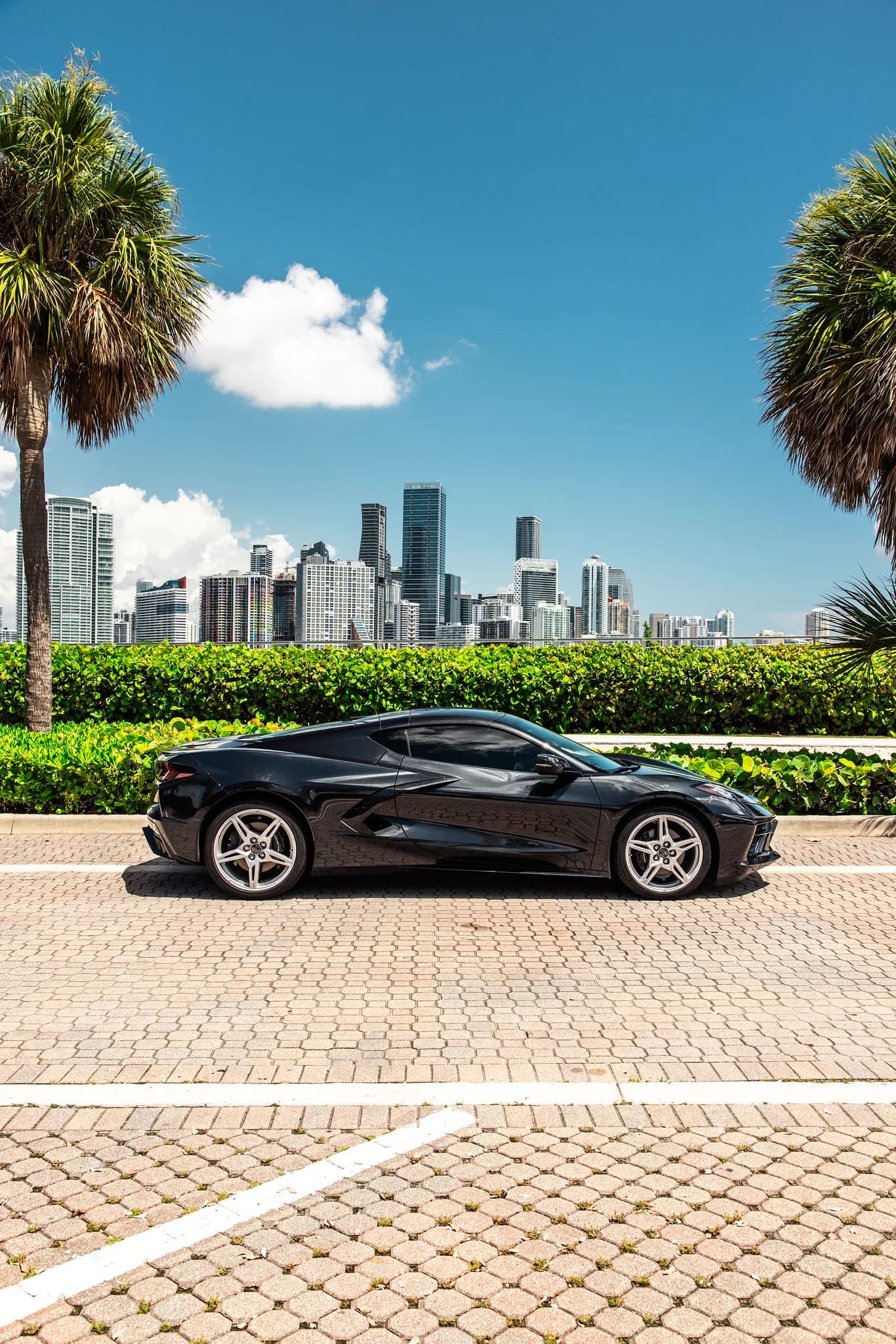 Corvette C8 (Black) - photo