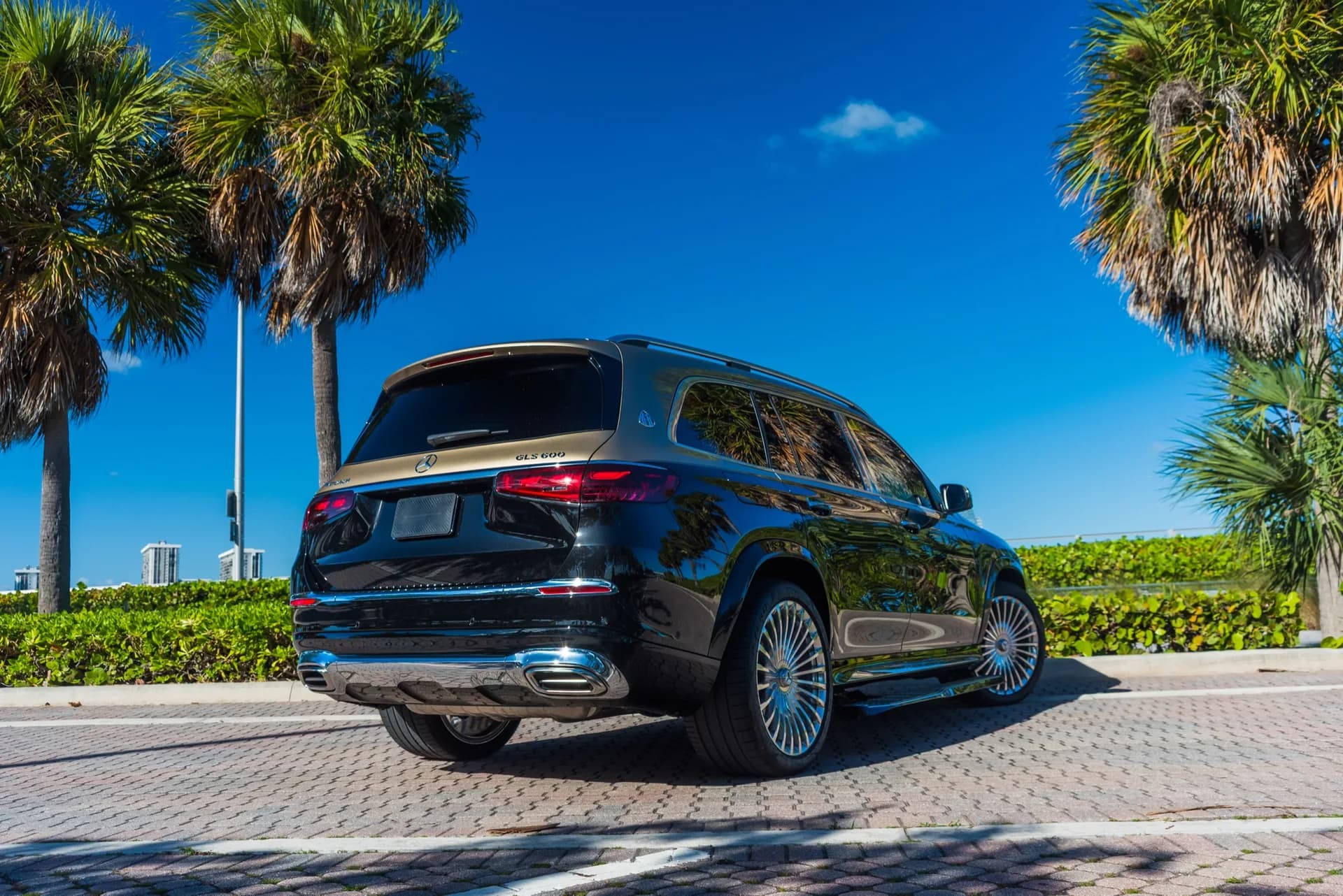 Mercedes-Maybach (Gold/Black) - photo 2