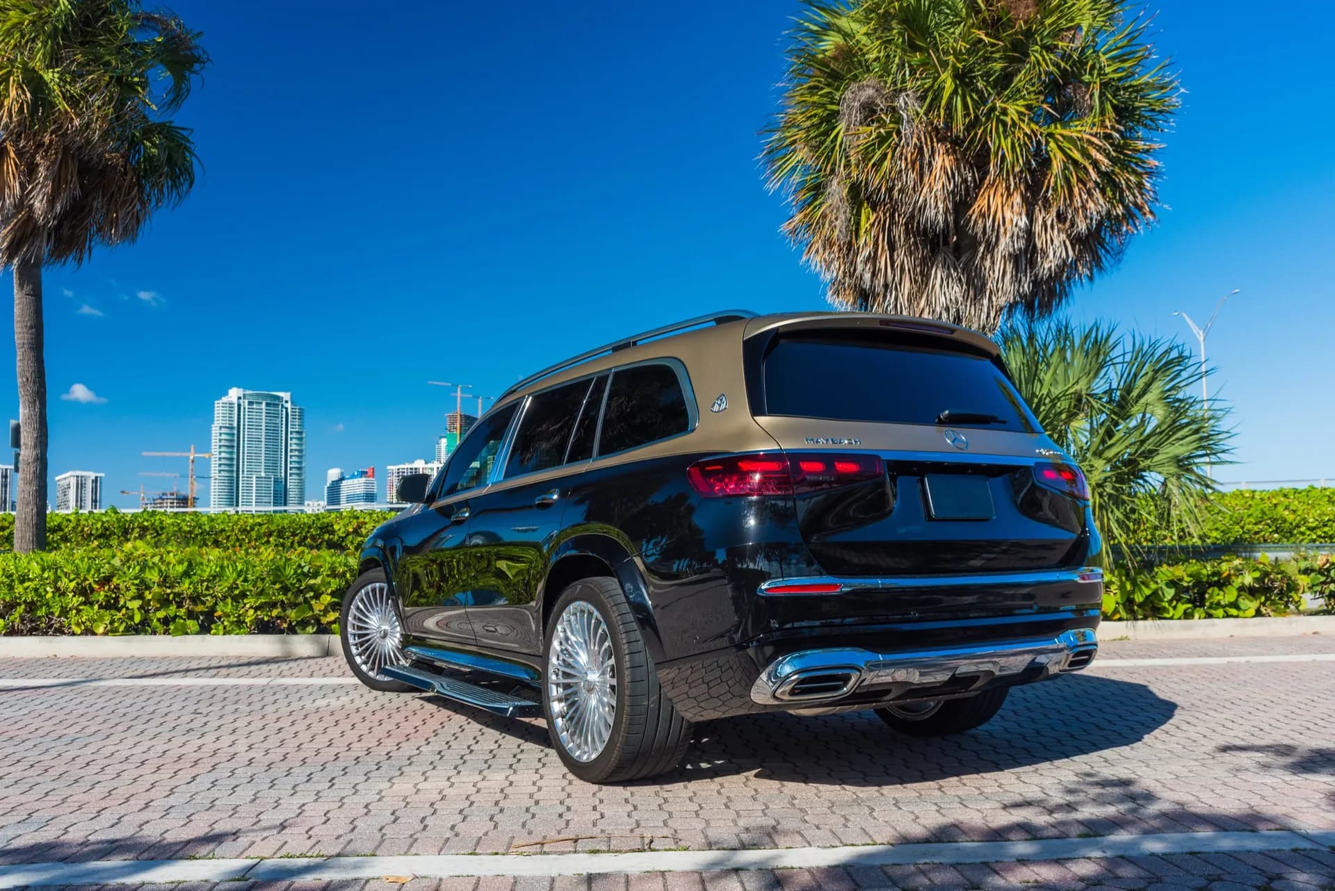 Mercedes-Maybach (Gold/Black) - photo 3