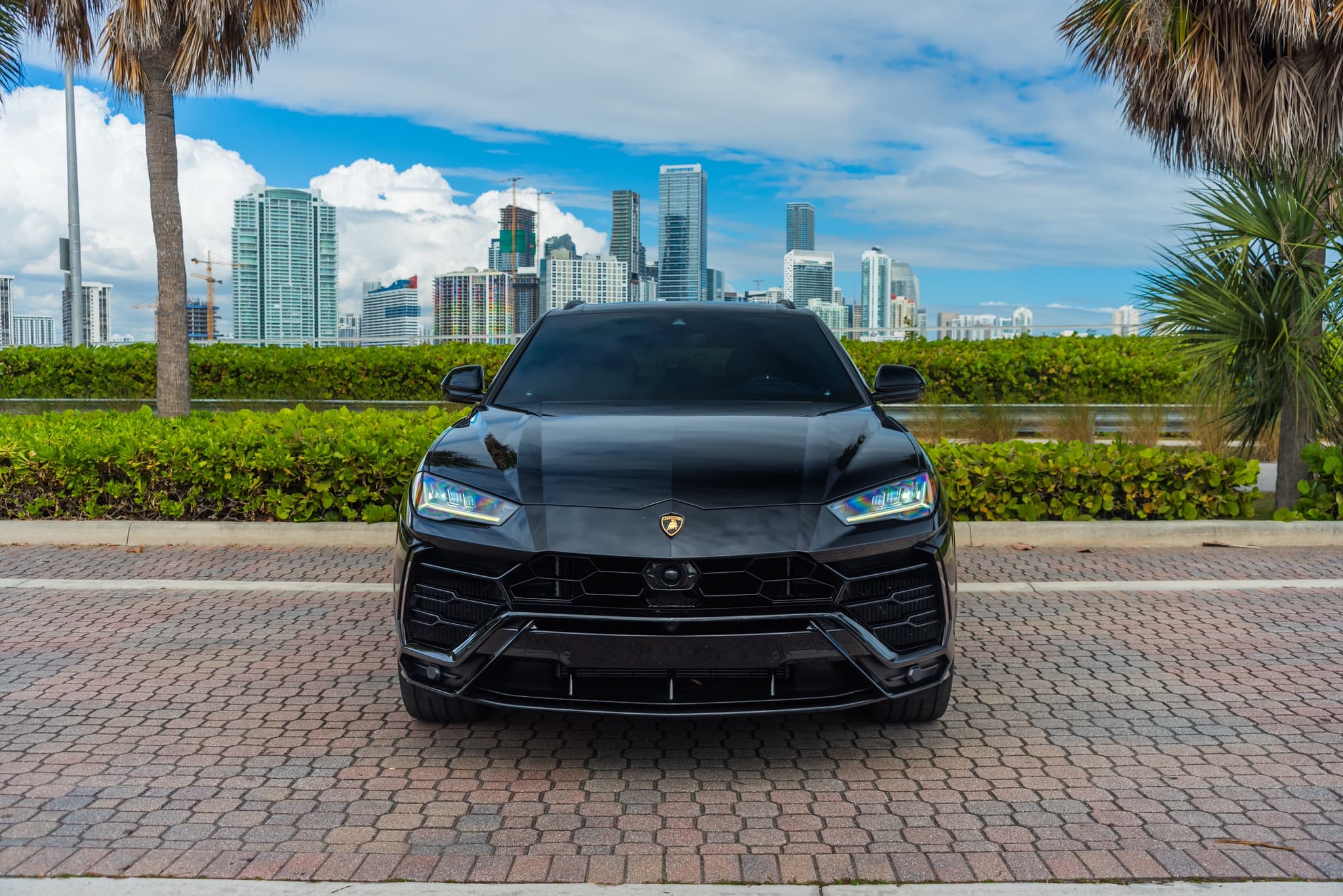 Lamborghini Urus Black:Black